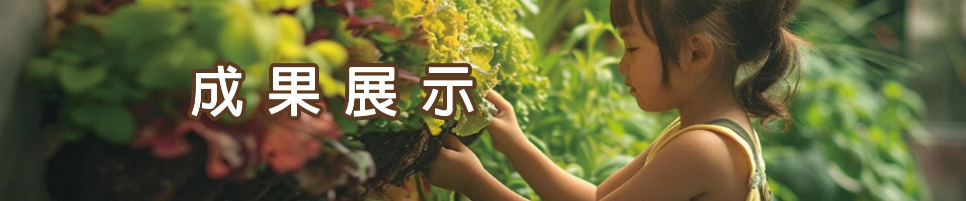 成果展示